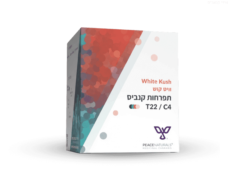 קנאביס רפואי תפרחת ווייט קוש - T22/C4 - White Kush פיס נטורלס לילה - אינדיקה