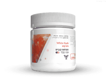 תפרחת ווייט קוש - T22/C4 - White Kush