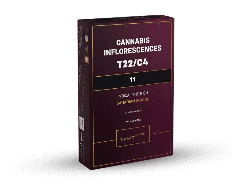 קנאביס רפואי תפרחת 11 - T22/C4 - 11 טוגדר פארמה לילה - אינדיקה
