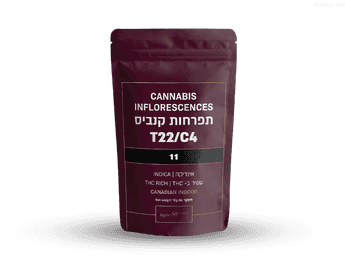 תפרחת 11 - T22/C4 - 11