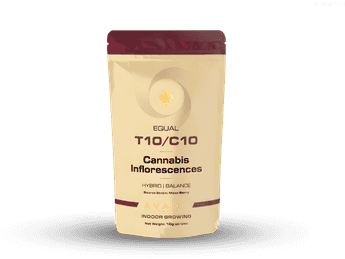 תפרחת איקוול - T10/C10 - Equal