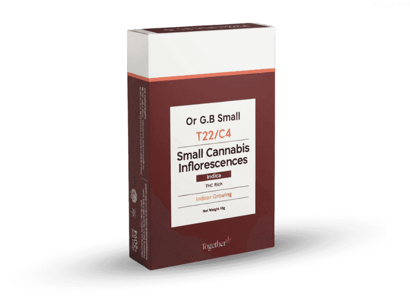 קנאביס רפואי תפרחת אור ג'י.בי מיני - T22/C4 - Or G.B Mini טוגדר פארמה לילה - אינדיקה