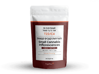 תפרחת אור ג'י.בי מיני - T22/C4 - Or G.B Mini