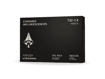 תפרחת קארוזה - T22/C4 - Karuza