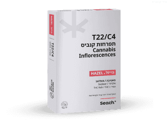 תפרחת הייזל - T22/C4 - Hazel