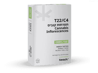 תפרחת קורי - T22/C4 - Cory