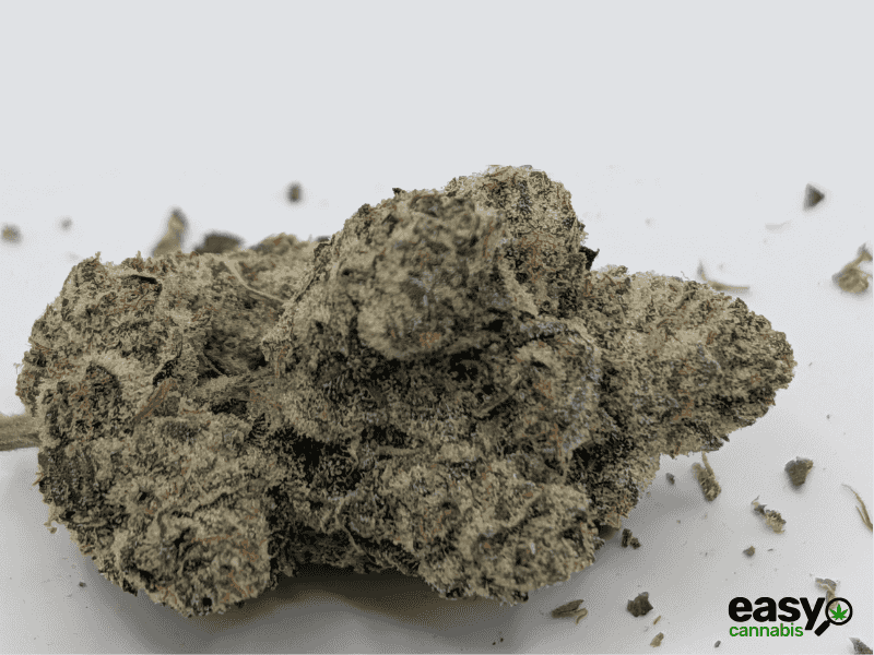 קנאביס רפואי תפרחת דאבליו.אר - T22/C4 - W.R קנאבר לילה - אינדיקה