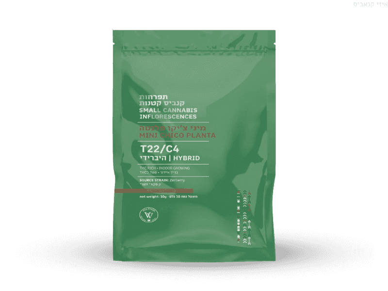 קנאביס רפואי תפרחת פלנטה צ'יקו מיני - T22/C4 - Planta Chico Mini ויטה ורדה יום\לילה - היברידי