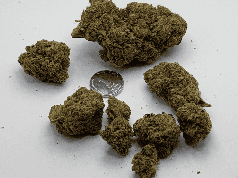 קנאביס רפואי תפרחת ס.גנדי - T22/C4 - S.Gandhi גרינמד לילה - אינדיקה