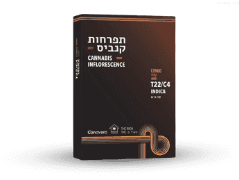 תפרחת קונגו - T22/C4 - CONGO