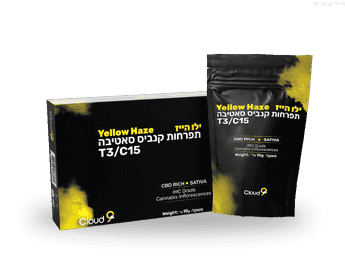 תפרחת ילו הייז - T3/C15 - Yellow Haze