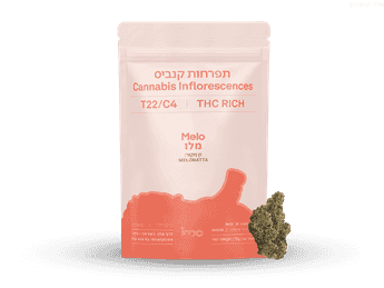 תפרחת מלו - T22/C4 - Melo