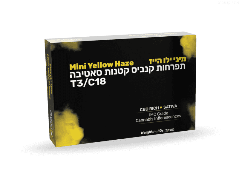 קנאביס רפואי תפרחת ילו הייז מיני - T3/C18 - Yellow Haze Mini גרינקום יום - סאטיבה