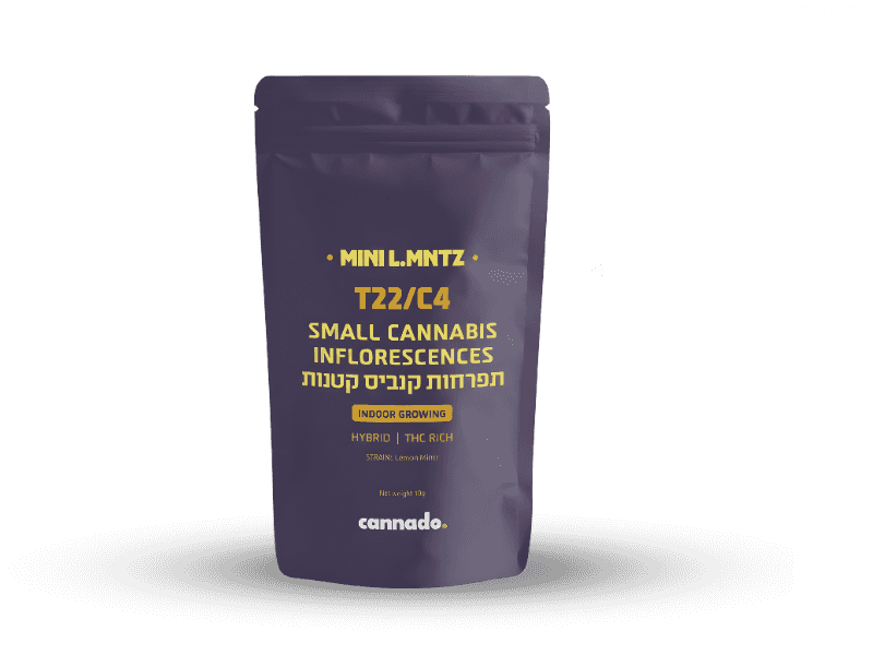 קנאביס רפואי תפרחת ל.מנטז מיני  - T22/C4 - L.MNTZ Mini טוגדר פארמה יום\לילה - היברידי