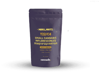 תפרחת ל.מנטז מיני  - T22/C4 - L.MNTZ Mini