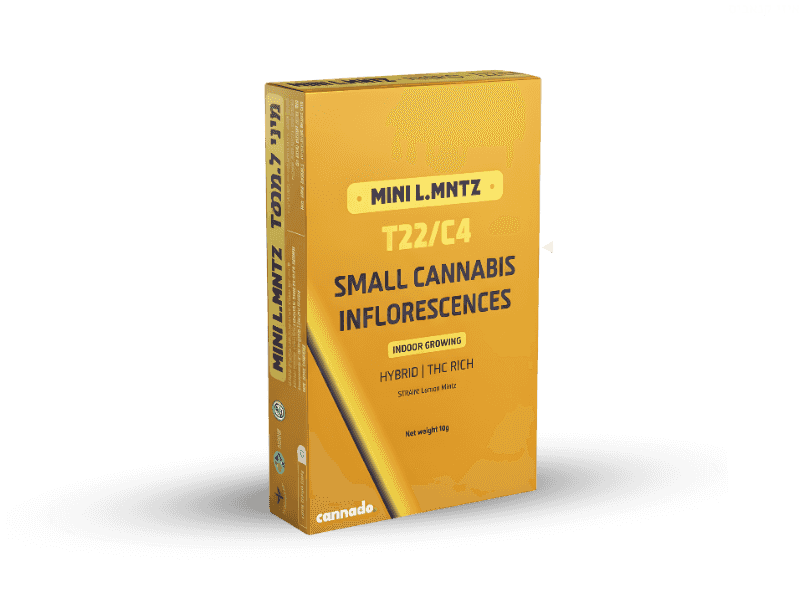 קנאביס רפואי תפרחת ל.מנטז מיני  - T22/C4 - L.MNTZ Mini טוגדר פארמה יום\לילה - היברידי