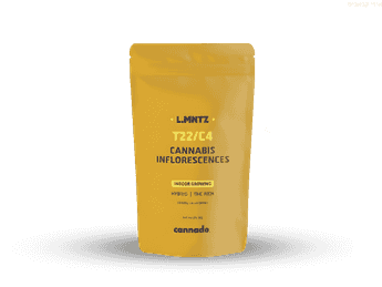 תפרחת ל.מנטז  - T22/C4 - L.MNTZ