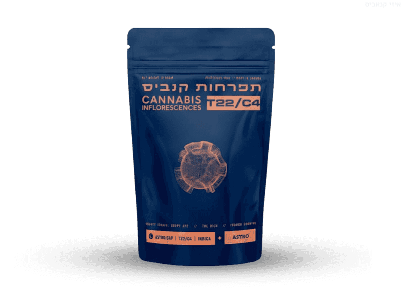קנאביס רפואי תפרחת אסטרו גאפ  - T22/C4 - Astro Gap טוגדר פארמה לילה - אינדיקה