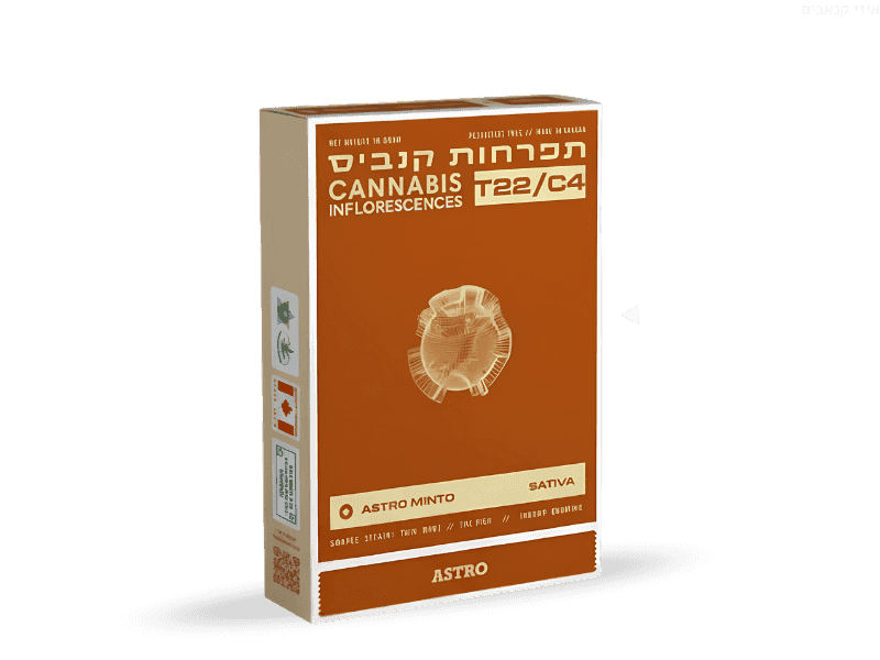 קנאביס רפואי תפרחת אסטרו מינטו  - T22/C4 - Astro Minto טוגדר פארמה יום - סאטיבה