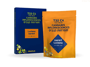 תפרחת לוסיאנה - T22/C4 - Luciana