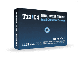 תפרחת בי.אל.יו.איי מיניז  - T22/C4 - B.L.U.I Miniz