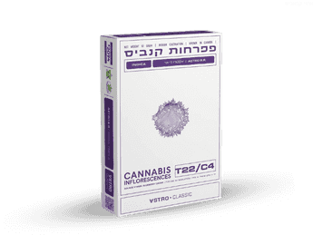 תפרחת אסטרו בי.אר - T22/C4 - Astro B.R