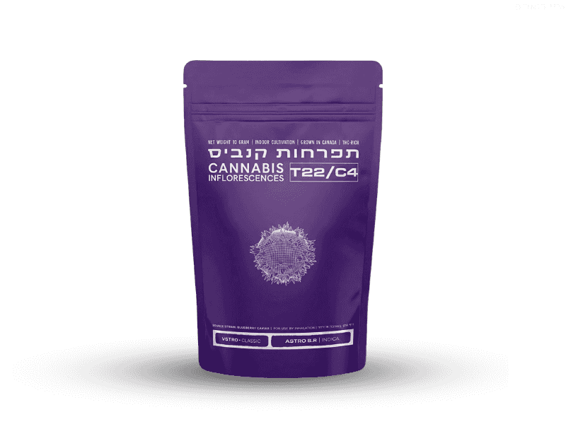 קנאביס רפואי תפרחת אסטרו בי.אר - T22/C4 - Astro B.R טוגדר פארמה לילה - אינדיקה