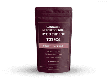 תפרחת פי.אן.קיי.טי - T22/C4 - P.N.K.T