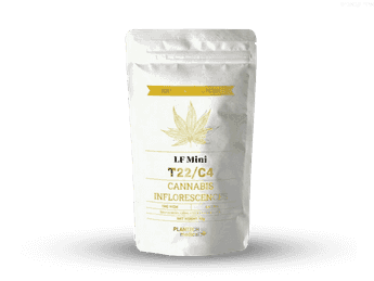 תפרחת אל אף מיני - T22/C4 - LF Mini