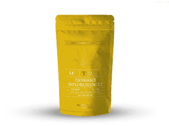 תפרחת אל אף - T22/C4 - LF