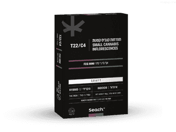 תפרחת אף.סי.ג'י מיני - T22/C4 - FCG Mini