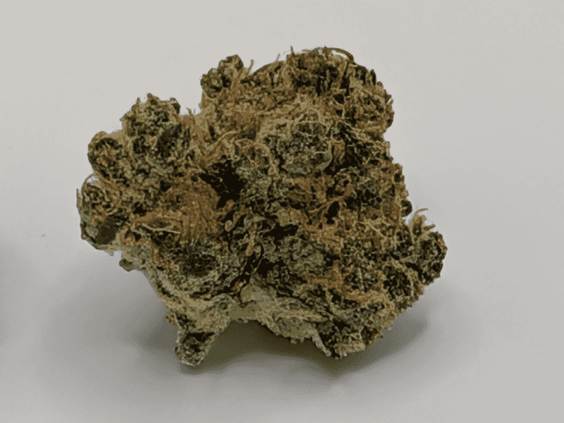 קנאביס רפואי תפרחת קליפסו - T22/C4 - Calypso מדוקאן יום\לילה - היברידי