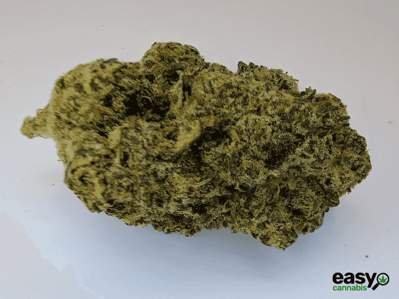 קנאביס רפואי תפרחת אריאה - T22/C4 - Aria מדוקאן לילה - אינדיקה