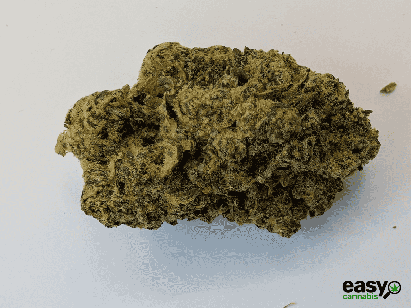 קנאביס רפואי תפרחת אריאה - T22/C4 - Aria מדוקאן לילה - אינדיקה