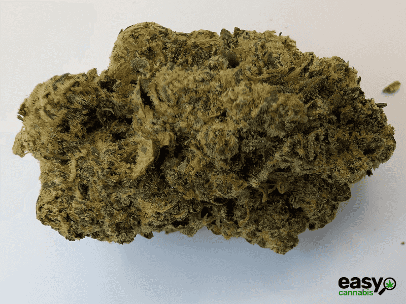 קנאביס רפואי תפרחת אריאה - T22/C4 - Aria מדוקאן לילה - אינדיקה