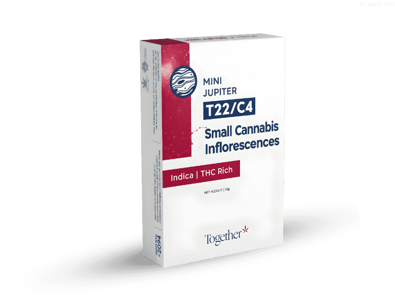 קנאביס רפואי תפרחת יופיטר מיני - T22/C4 - Jupiter Mini טוגדר פארמה לילה - אינדיקה