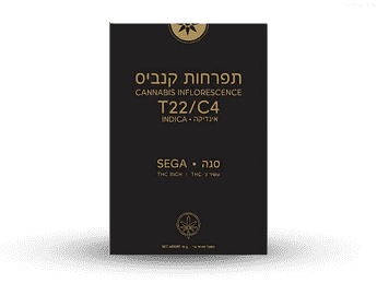 תפרחת סגה - T22/C4 - Sega