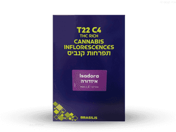 תפרחת איזדורה - T22/C4 - Isadora