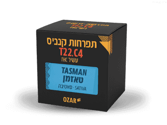 תפרחת טזמן - T22/C4 - Tasman