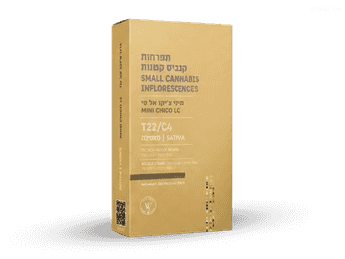 תפרחת אל סי צ'יקו מיני - T22/C4 - LC Chico Mini