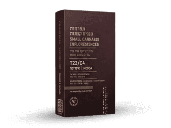 תפרחת טי איי צ'יקו מיני  - T22/C4 - TA Chico Mini