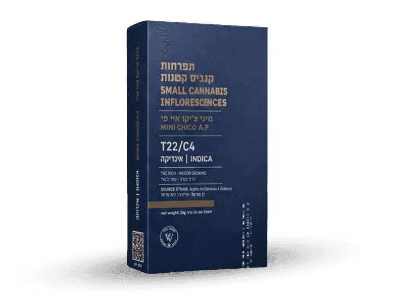 קנאביס רפואי תפרחת איי פי צ'יקו מיני - T22/C4 - AP Chico Mini ויטה ורדה לילה - אינדיקה