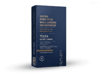 תפרחת איי פי צ'יקו מיני - T22/C4 - AP Chico Mini
