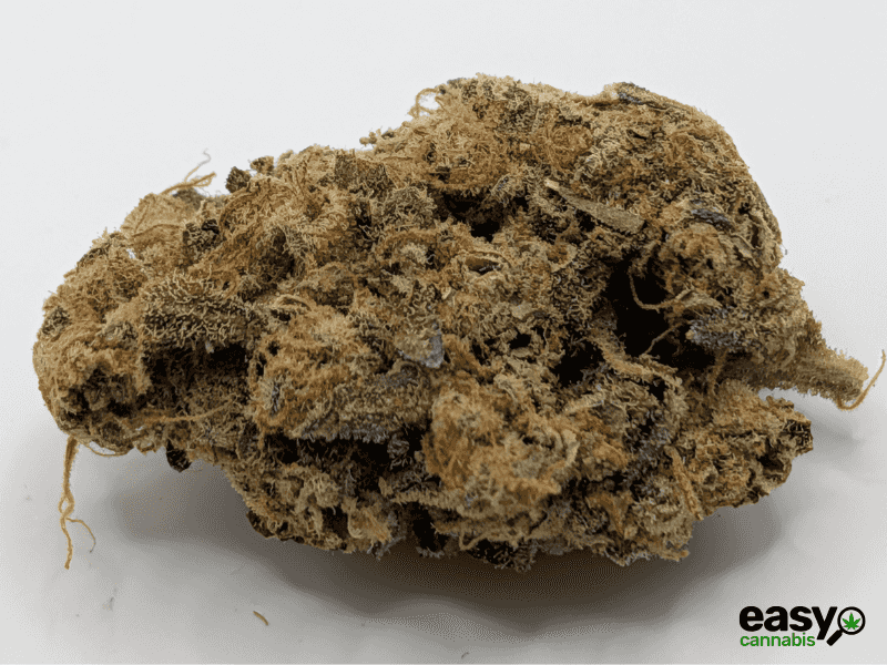 קנאביס רפואי תפרחת דוב סיקיי - T22/C4 - Doov CK איי.אמ.סי יום\לילה - היברידי