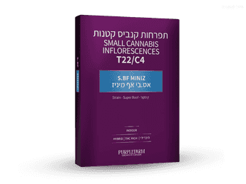 תפרחת אס.בי אף מיניז - T22/C4 - S.BF Miniz