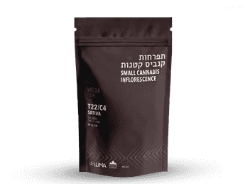 תפרחת וולגה - T22/C4 - Volga