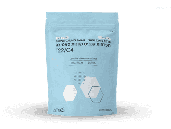 תפרחת פרפל צ'אנג סמול - T22/C4 - Purple Chung Small