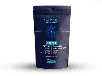 תפרחת בלו אורכיד - T22/C4 - Blue Orchid