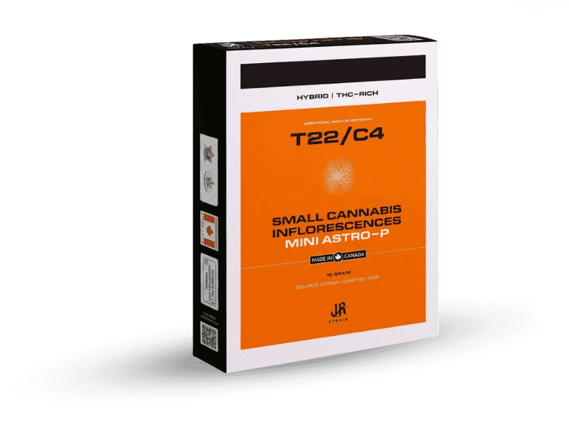 קנאביס רפואי תפרחת אסטרו פי מיני - T22/C4 - Astro-P Mini טוגדר פארמה לילה - אינדיקה