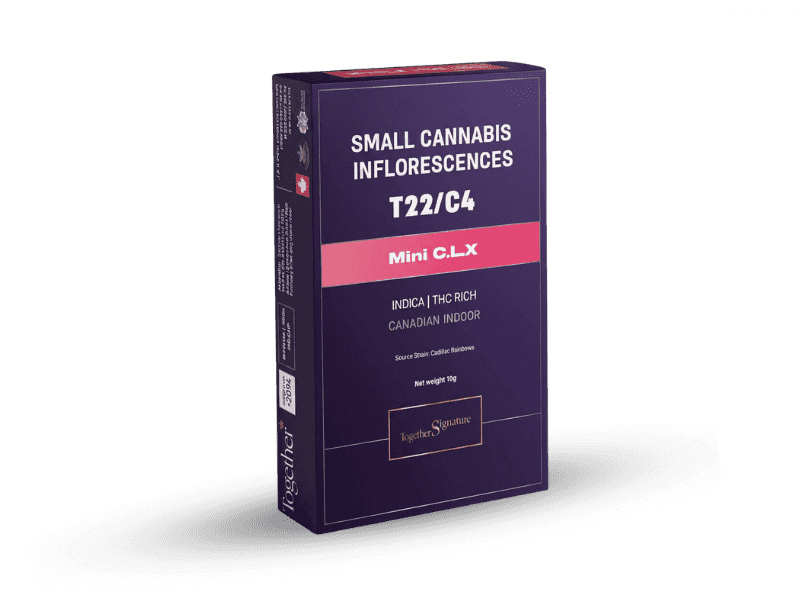 קנאביס רפואי תפרחת סי.אל.אקס - T22/C4 - C.L.X טוגדר פארמה לילה - אינדיקה